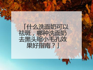 什么洗面奶可以祛斑，哪种洗面奶去黑头缩小毛孔效果好指南？