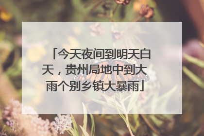 今天夜间到明天白天，贵州局地中到大雨个别乡镇大暴雨