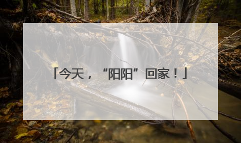 今天，“阳阳”回家！