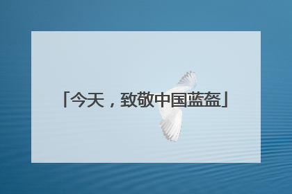 今天，致敬中国蓝盔