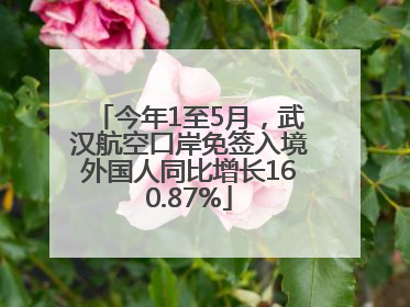今年1至5月，武汉航空口岸免签入境外国人同比增长160.87%