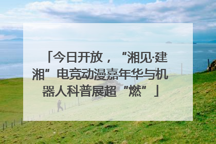 今日开放，“湘见·建湘”电竞动漫嘉年华与机器人科普展超“燃”