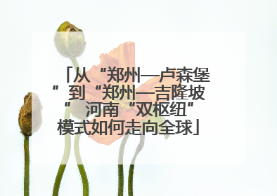 从“郑州—卢森堡”到“郑州—吉隆坡” 河南“双枢纽”模式如何走向全球