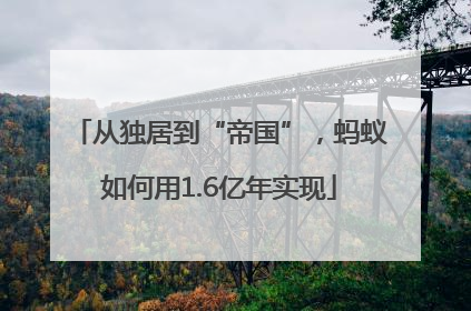 从独居到“帝国”，蚂蚁如何用1.6亿年实现