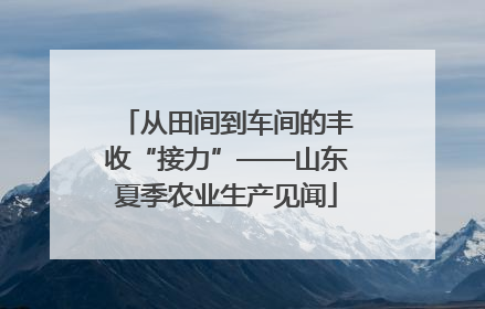 从田间到车间的丰收“接力”——山东夏季农业生产见闻