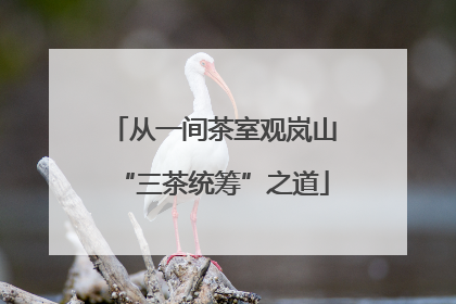 从一间茶室观岚山“三茶统筹”之道