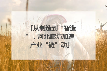 从制造到“智造”，河北廊坊加速产业“链”动
