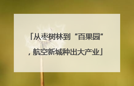从枣树林到“百果园”，航空新城种出大产业