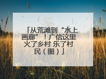 从荒滩到“水上画廊”！广信这里火了乡村 乐了村民（图）