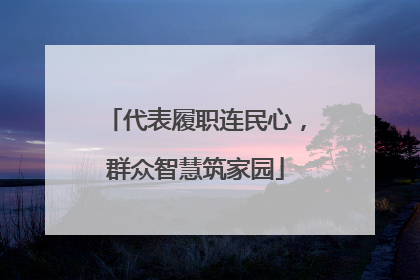 代表履职连民心，群众智慧筑家园