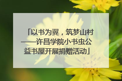 以书为翼，筑梦山村——许昌学院小书虫公益书屋开展捐赠活动