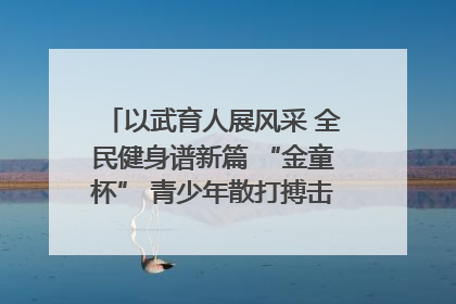 以武育人展风采 全民健身谱新篇 “金童杯” 青少年散打搏击邀请赛圆满落幕