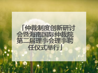 仲裁制度创新研讨会暨海南国际仲裁院第二届理事会理事聘任仪式举行