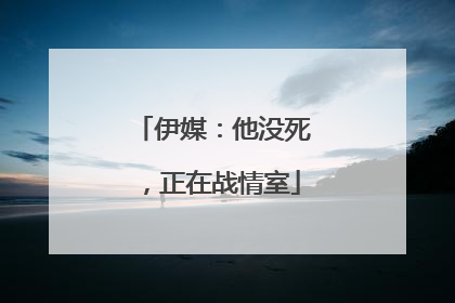 伊媒：他没死，正在战情室