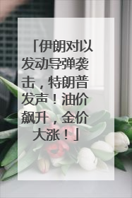 伊朗对以发动导弹袭击，特朗普发声！油价飙升，金价大涨！