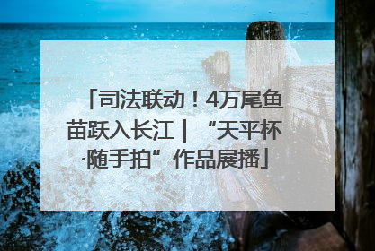 司法联动！4万尾鱼苗跃入长江｜“天平杯·随手拍”作品展播