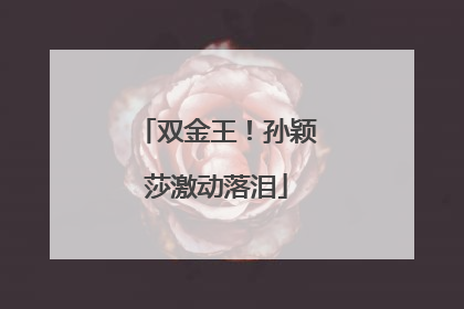 双金王！孙颖莎激动落泪