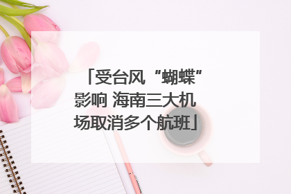 受台风“蝴蝶”影响 海南三大机场取消多个航班