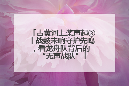 古黄河上桨声起③丨战鼓未响守护先鸣，看龙舟队背后的 “无声战队”