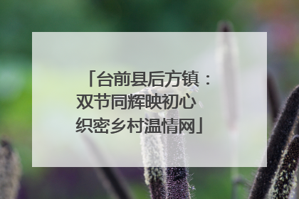 台前县后方镇：双节同辉映初心 织密乡村温情网
