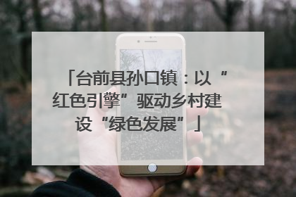 台前县孙口镇：以“红色引擎”驱动乡村建设“绿色发展”