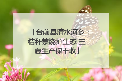 台前县清水河乡：秸秆禁烧护生态 三夏生产保丰收