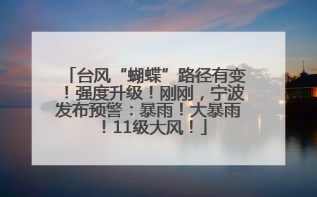 台风“蝴蝶”路径有变！强度升级！刚刚，宁波发布预警：暴雨！大暴雨！11级大风！