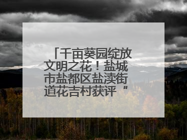 千亩葵园绽放文明之花！盐城市盐都区盐渎街道花吉村获评“全国文明村”