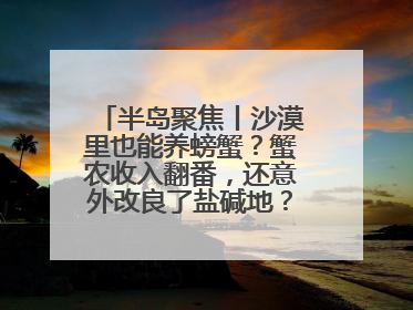 半岛聚焦丨沙漠里也能养螃蟹？蟹农收入翻番，还意外改良了盐碱地？咋做到的？