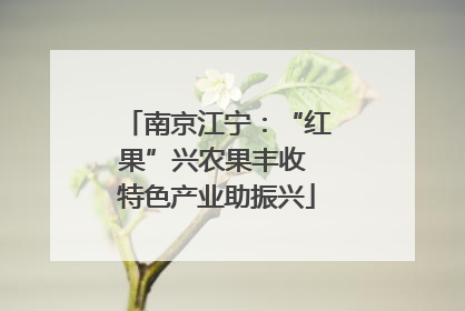 南京江宁：“红果”兴农果丰收 特色产业助振兴