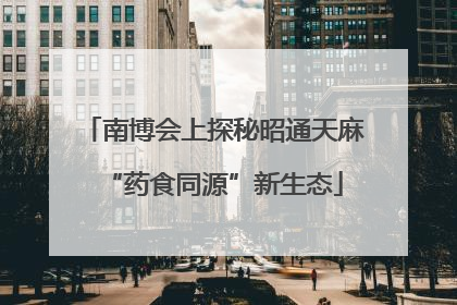 南博会上探秘昭通天麻“药食同源”新生态