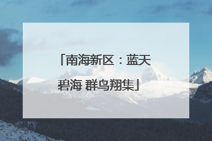 南海新区：蓝天碧海 群鸟翔集