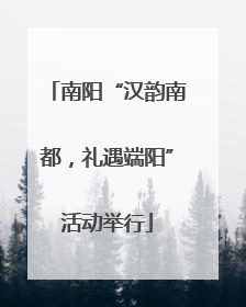 南阳“汉韵南都，礼遇端阳”活动举行