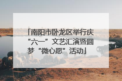 南阳市卧龙区举行庆“六一”文艺汇演暨圆梦“微心愿”活动