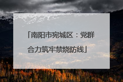 南阳市宛城区：党群合力筑牢禁烧防线