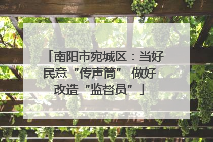 南阳市宛城区：当好民意“传声筒” 做好改造“监督员”