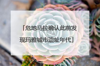 危地马拉确认此前发现玛雅城市遗址年代