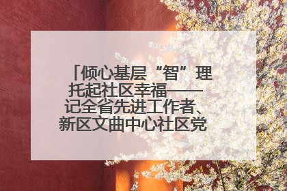 倾心基层“智”理 托起社区幸福——记全省先进工作者、新区文曲中心社区党委书记董世弘
