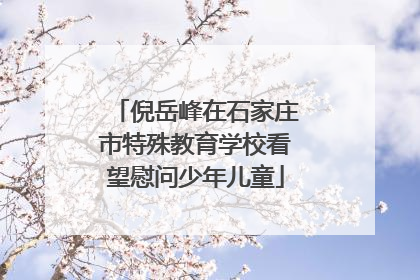 倪岳峰在石家庄市特殊教育学校看望慰问少年儿童