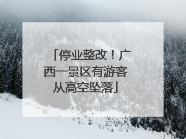 停业整改！广西一景区有游客从高空坠落