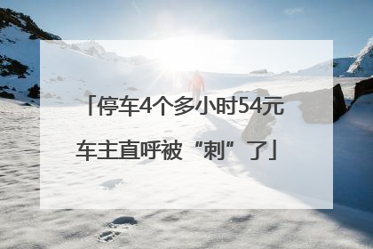 停车4个多小时54元 车主直呼被“刺”了