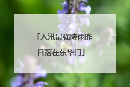 入汛最强降雨昨日落在东华门