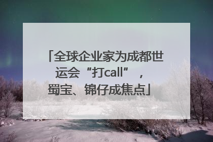 全球企业家为成都世运会“打call”，蜀宝、锦仔成焦点
