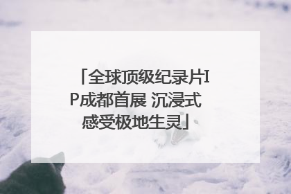 全球顶级纪录片IP成都首展 沉浸式感受极地生灵