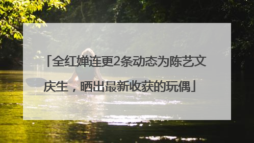 全红婵连更2条动态为陈艺文庆生，晒出最新收获的玩偶