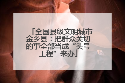 全国县级文明城市金乡县：把群众关切的事全部当成“头号工程”来办
