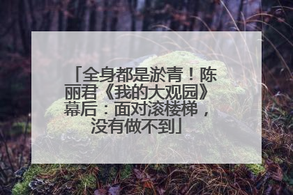全身都是淤青！陈丽君《我的大观园》幕后：面对滚楼梯，没有做不到