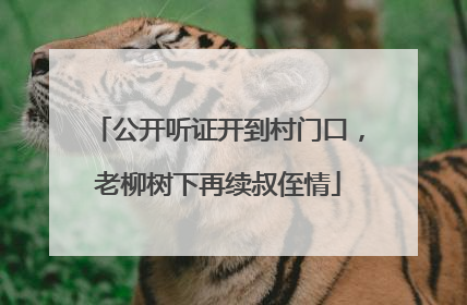 公开听证开到村门口，老柳树下再续叔侄情