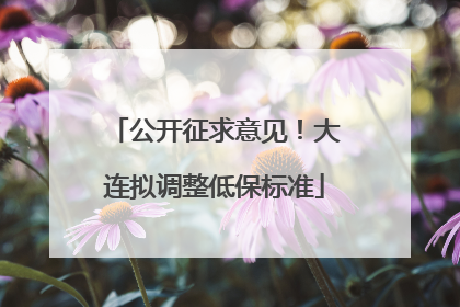 公开征求意见！大连拟调整低保标准