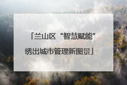 兰山区“智慧赋能”绣出城市管理新图景